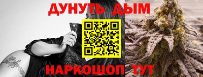 индика Северобайкальск
